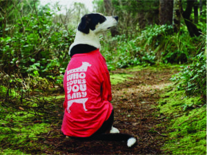 a black and white dog wears a red t-shirt with text reading "who loves you baby?" while sitting in a forest