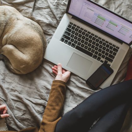 a person sits on a bed with computer, phone, and a curled up dog